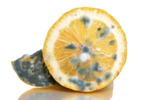 Sour Lemons