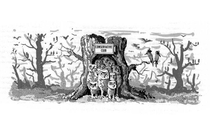 The Conservative Cocoon