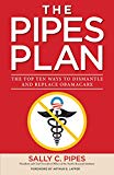 The Pipes Plan: The Top Ten Ways to Dismantle Obamacare
