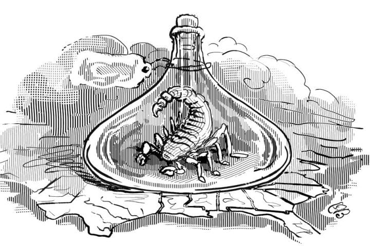 The Antislavery Project